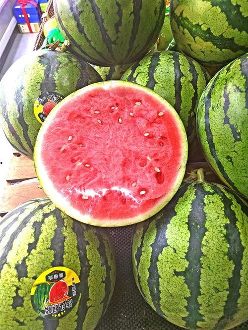 自由吃瓜极低,极低门槛的娱乐新风尚