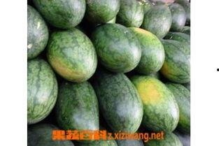 美人瓜是粉瓜吗怎么吃的