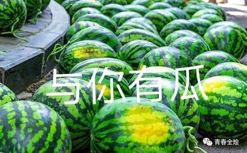 全国高校吃瓜,校园生活那些事儿