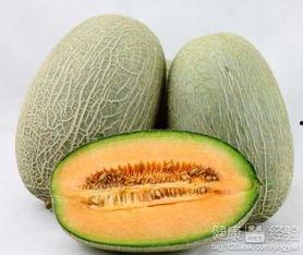 蓝猫吃哈密瓜,一场味蕾的冒险之旅