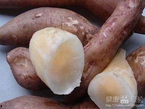 雪莲瓜怎么吃,探索美味与营养的完美结合