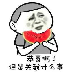 当模特遇上吃瓜群众小说