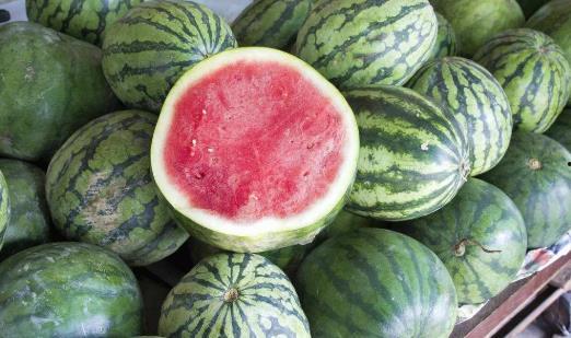 瓜能放糖吃吗,糖拌瓜的奇妙风味探索