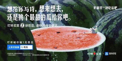 女人吃瓜的文案,女性吃瓜文化的魅力解析