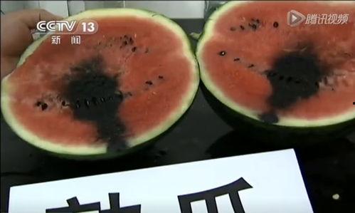 带你吃瓜吃奇葩西瓜视频