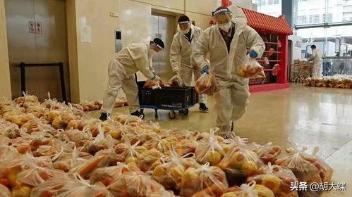 疫情下的吃瓜,揭秘网络舆论的狂欢与反思