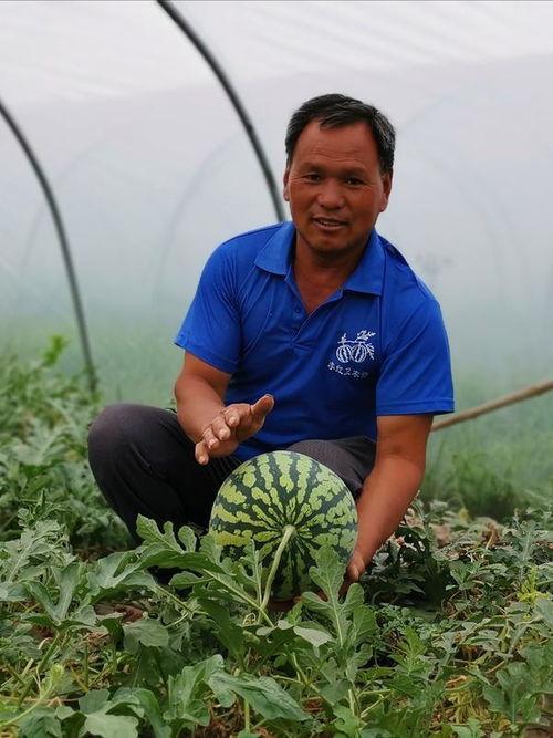 最近吃瓜入口在哪里,近期热门“吃瓜”入口大追踪