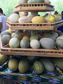 新疆瓜多少糖度可以吃,甜蜜滋味尽享