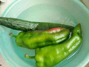 鸡屎瓜怎么吃才好吃,解锁独特口感，尽享田园风味