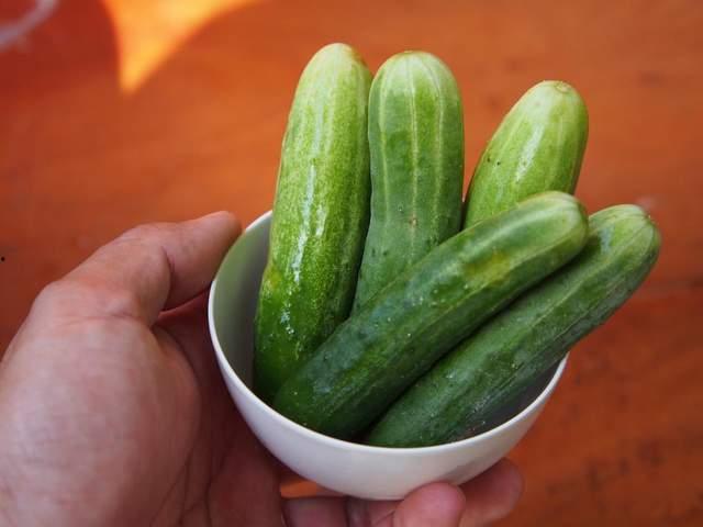 冬至可以吃瓜,暖意融融的冬日美食新风尚