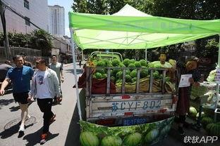 徐州吃瓜实房,揭秘当地特色美食与居住体验