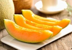 吃鸭子可以吃蜜瓜吗,夏日美食新搭配