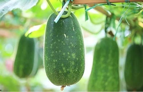 四嫂子吃瓜,揭秘娱乐圈背后的八卦风云