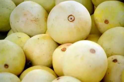 梨次瓜怎么吃,解锁美味新体验