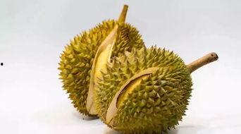 荔技瓜怎么吃,荔技瓜的多彩食法探索